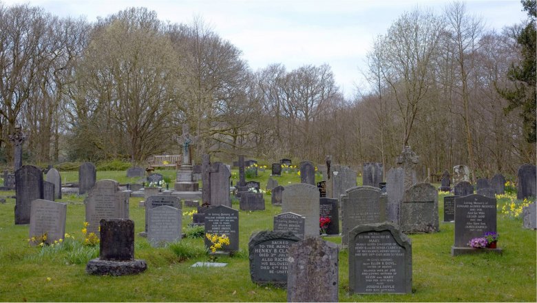 Почему кладбища вредят экологии и как этого избежать