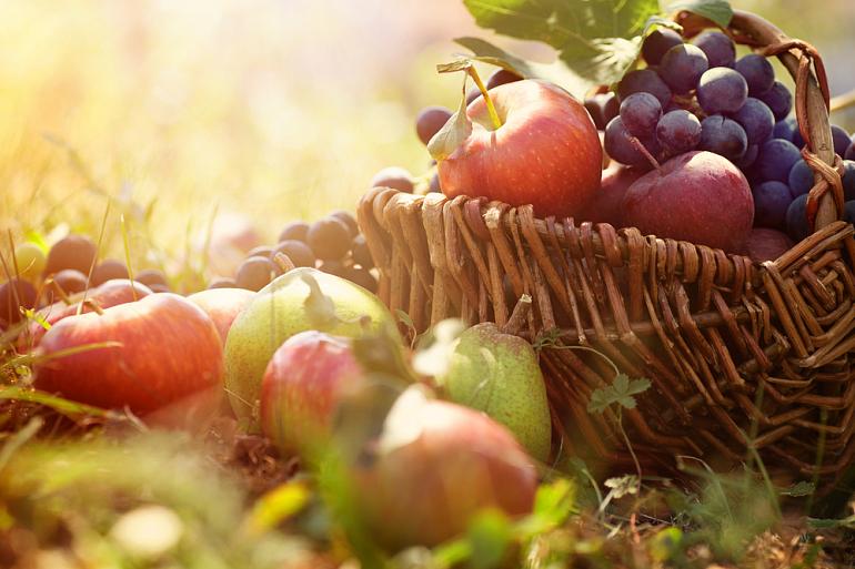Какие фрукты и овощи есть осенью | Vegetarian.ru