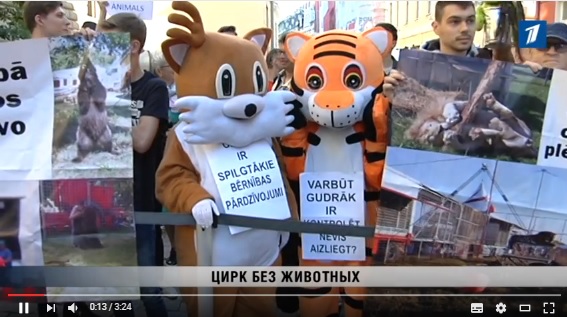 Беспрецедентная победа! Латвия запретила цирки с животными | Центр защиты прав животных «ВИТА»