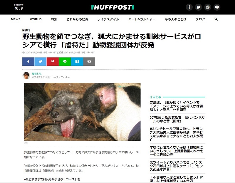 Японское издание "Huffpost Japan" о проблеме притравочных  станций в России. Интервью Ирины Новожиловой | Центр защиты прав животных «ВИТА»