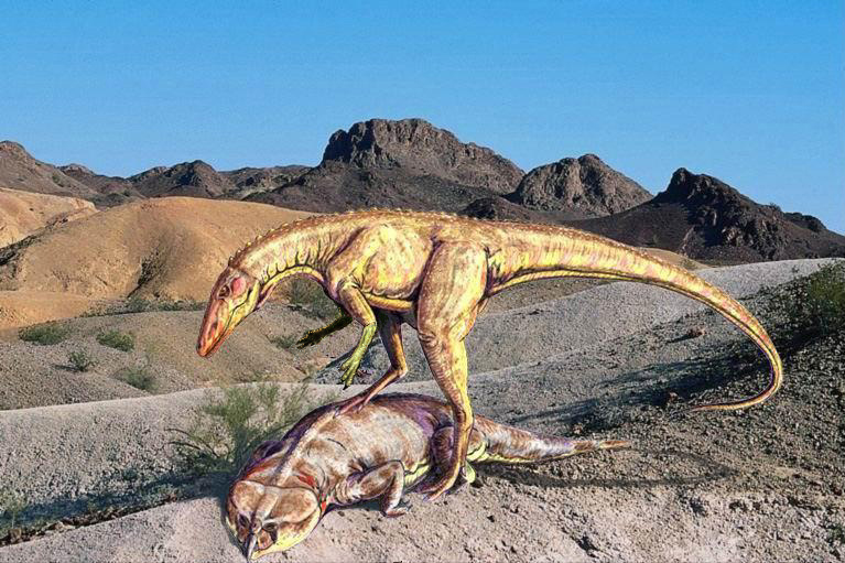 Ставрикозавр