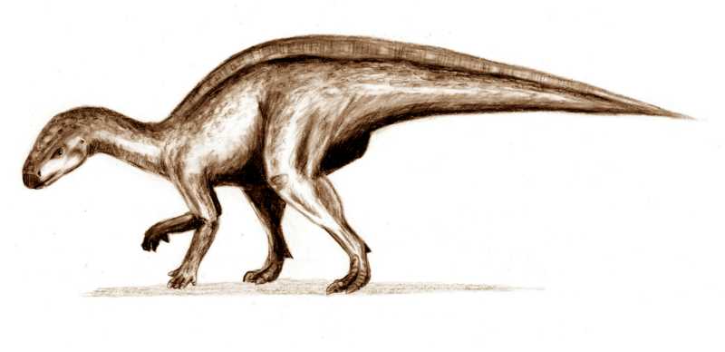 Тенонтозавр