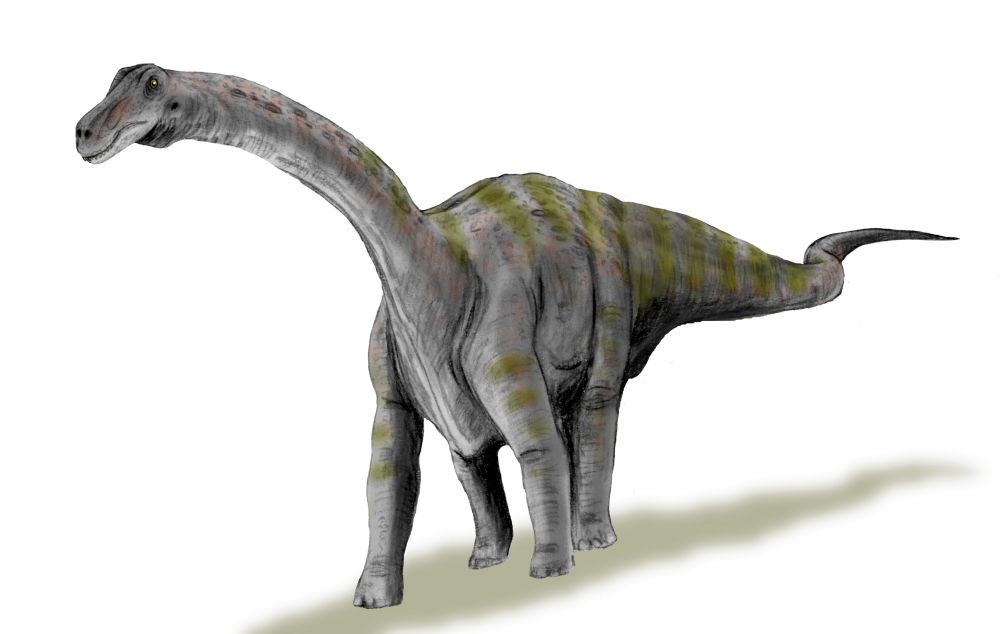 Рапетозавр