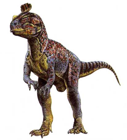 Криолофозавр » Дикие Животные