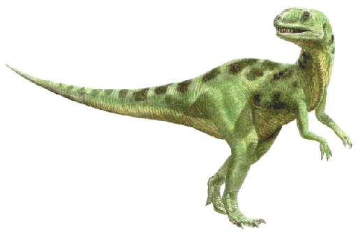 Янхунозавр сообщение