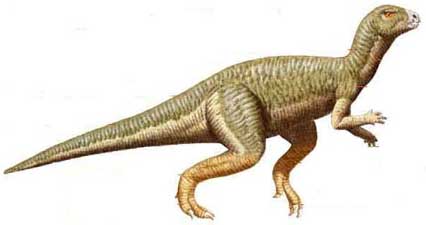 Гипсилозавр
