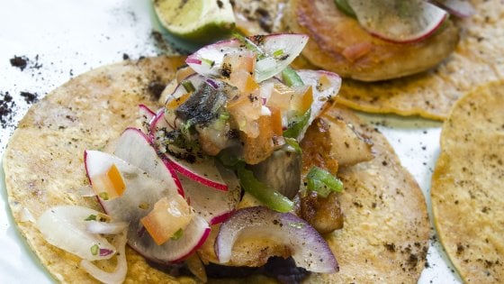 Tacos di pollo , quasi un emblema del Messico a tavola - Repubblica.it