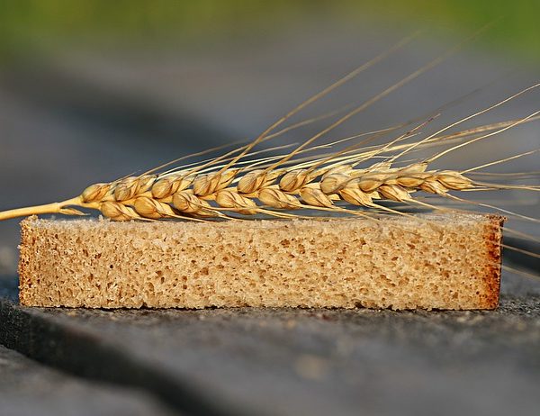 Farina, il lungo viaggio di un chicco di grano - De Gustibus