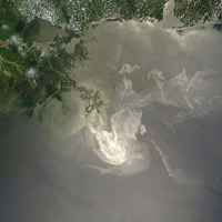 The Deepwater Horizon Dirty Blizzard | Ecology Global Network