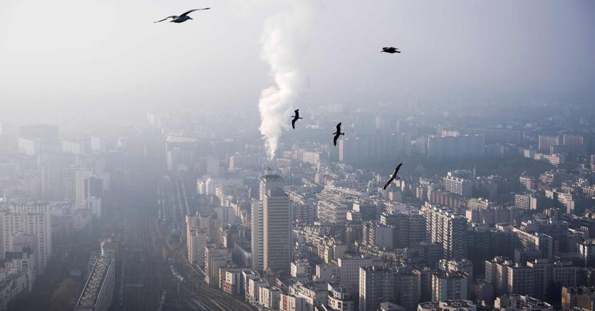 CO2 record nell'aria, Onu: "Pianeta sempre più inospitale" ⋆ La Nuova Ecologia
