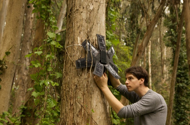 Un cellulare registra il suono della foresta e scopre i bracconieri - Focus.it