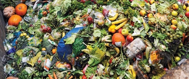 Lo spreco alimentare è il terzo emettitore di Co2 al mondo, dopo Cina e Usa - Focus.it