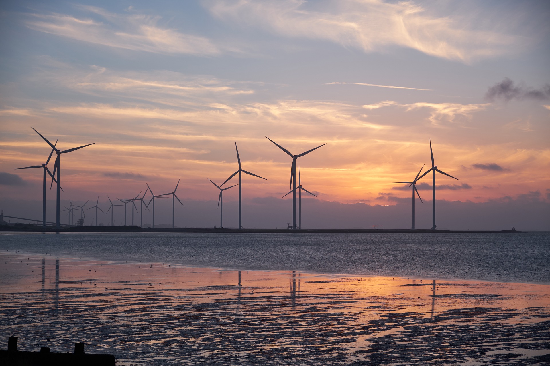 Éoliennes en mer : à quand une stratégie nationale claire ? | France Nature Environnement