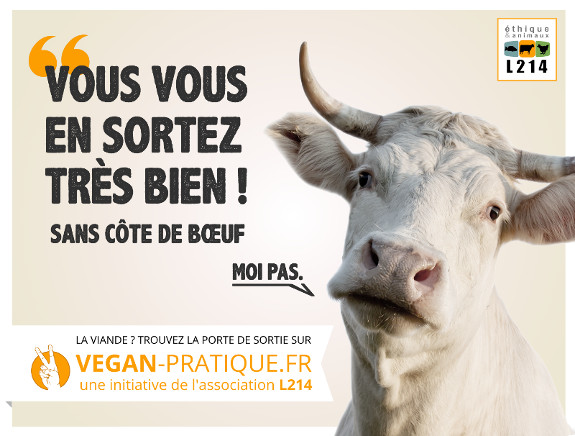 Vegan Pratique, nouveau site de L214 pour un changement dans les assiettes | Éthique et animaux