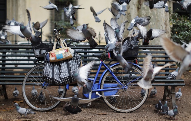 Troppe bici: l'Olanda è al collasso - Focus.it