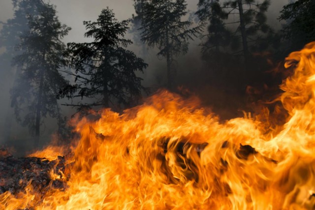 Estate torrida: è allarme incendi e siccità ⋆ La Nuova Ecologia