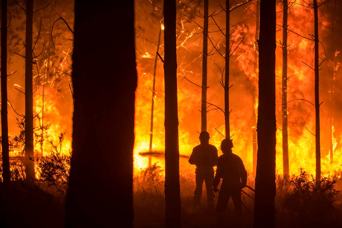 In Portogallo 27 morti per gli incendi alimentati dall’uragano Ophelia (FOTOGALLERY) - Greenreport: economia ecologica e sviluppo sostenibile