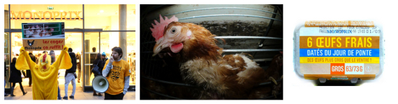 Monoprix retire ses œufs de batterie  | Éthique et animaux