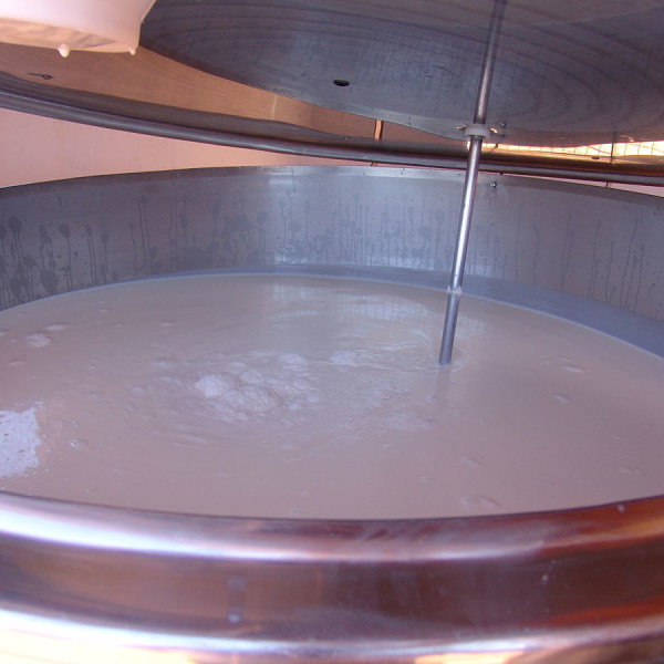 Pastorizzazione, sterilizzazione, microfiltrazione: i segreti del latte - De Gustibus