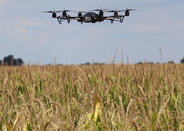 Droni sui campi, il futuro dell'agricoltura è dietro l'angolo - Focus.it