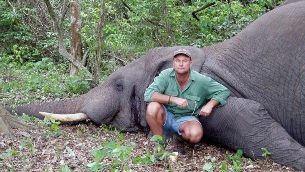 Zimbabwe, mamma elefante uccide cacciatore - National Geographic