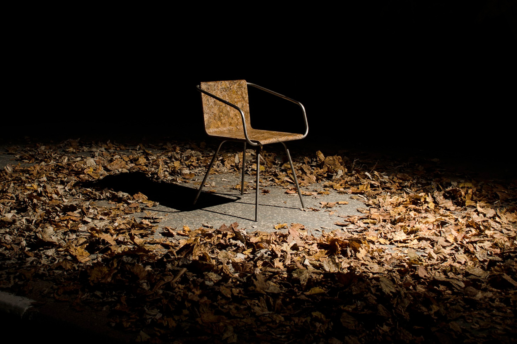 L’artista che trasforma il fogliame in una sedia biodegradabile - Fatti di Bio