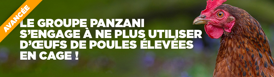 Le groupe Panzani s'engage à exclure les oeufs de batterie | Éthique et animaux