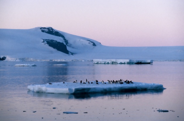 Antartide, la più alta temperatura di sempre - Focus.it