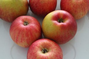 Les premières pommes OGM commercialisées aux États-Unis…. – Les moutons enragés