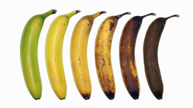 Afa e sprechi di cibo: 10 consigli per non far marcire frutta e verdura - Focus.it