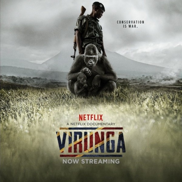 The Film That Shined a Light on the Battle for Virunga | Ecology Global Network