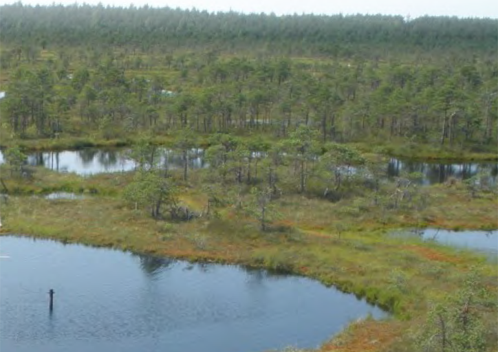 Peat bogs and environmental change | Centre for Ecology & Hydrology