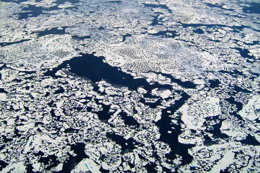 Record-Low 2016 Antarctic Sea Ice Due to ‘Perfect Storm’ of Tropical, Polar Conditions | Ecology Global Network