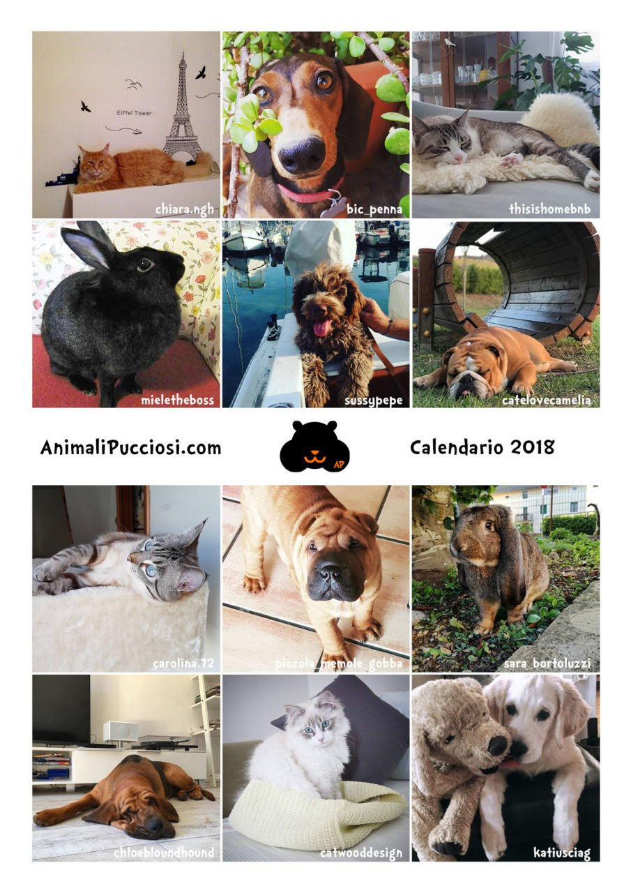 Il calendario 2018 degli animali gratis per voi! - Animali Pucciosi