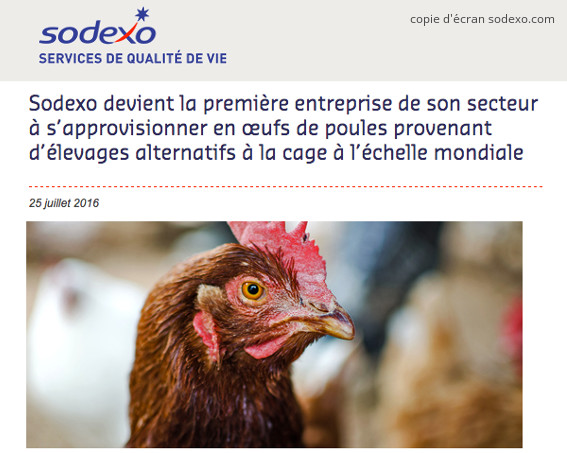 Sodexo n’utilisera plus d’œufs de batterie, partout dans le monde | Éthique et animaux