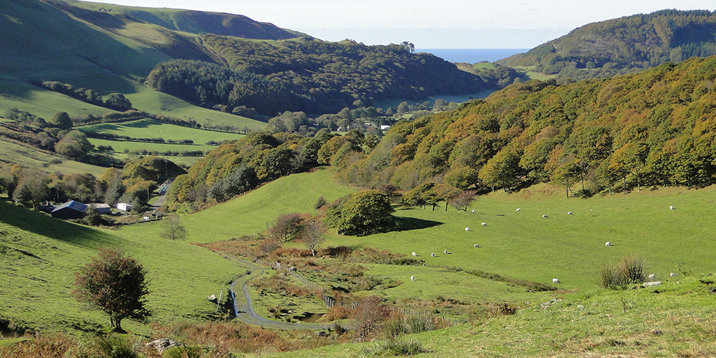 Report shows Welsh countryside improvements | Centre for Ecology & Hydrology