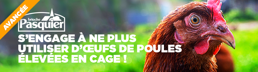 Brioche Pasquier n’utilisera plus d’œufs de poules élevées en cage | Éthique et animaux