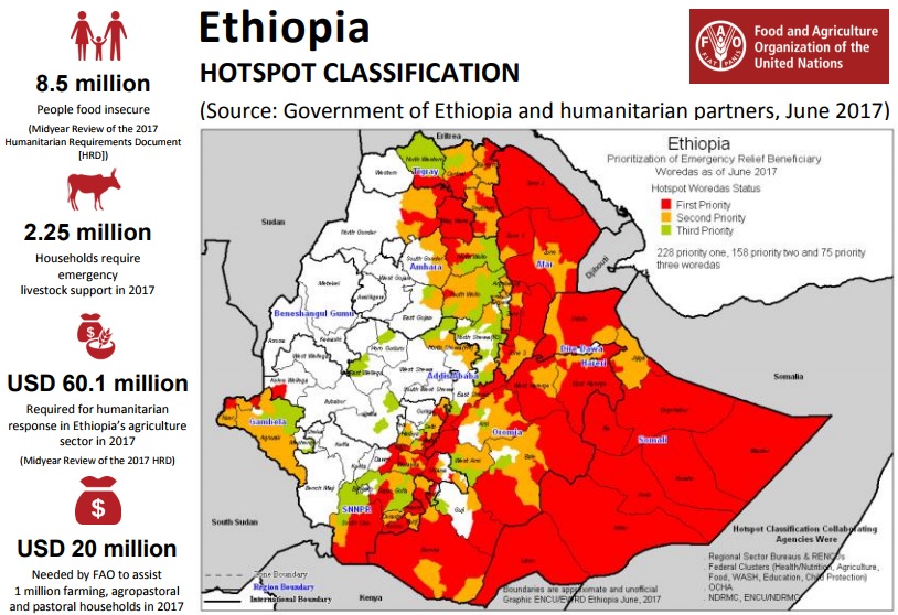 Etiopia: l’emergenza fame peggiorerà se non si affrontano le cause alla radice - Greenreport: economia ecologica e sviluppo sostenibile