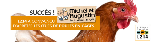 L214 convainc Michel et Augustin de stopper les œufs de batterie | Éthique et animaux