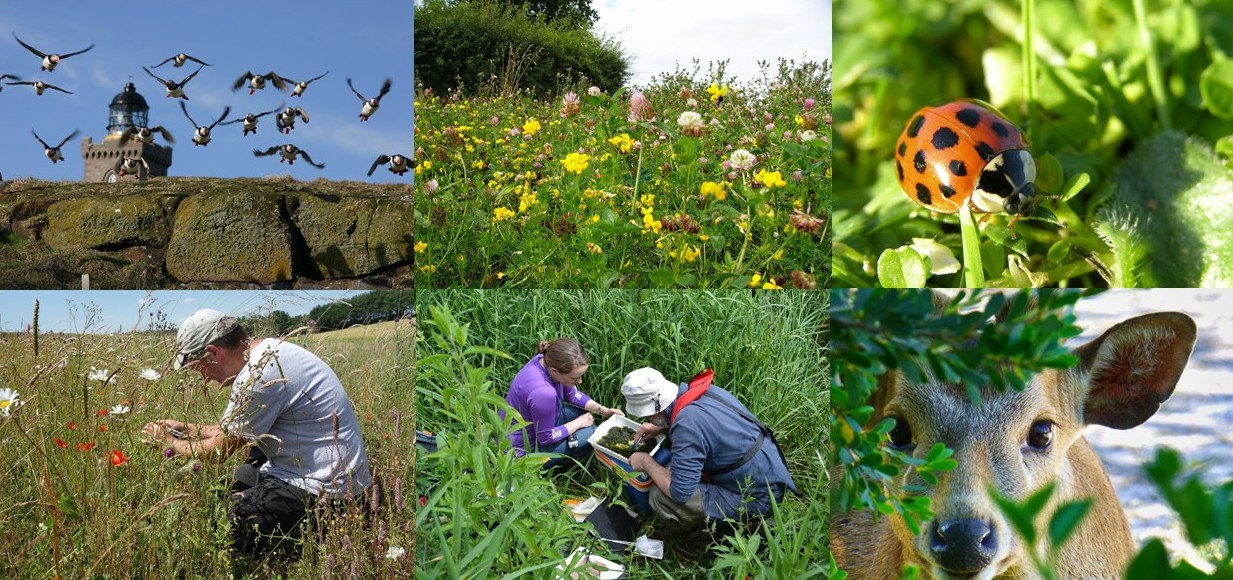UK State of Nature 2016 report | Centre for Ecology & Hydrology