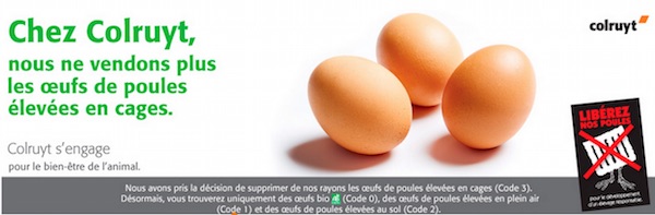 Une première en France : l’enseigne Colruyt ne vendra plus d'oeufs de batterie | Éthique et animaux