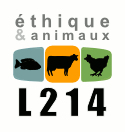 Foie gras : message de Matthieu Ricard pour les fêtes de fin d'année | Éthique et animaux