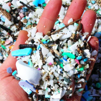 More Ocean Less Plastic - Lia Colabello - TEDx | Ecology Global Network