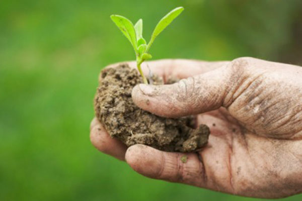 G7 dell’agricoltura: la Carta del Biologico di Bergamo per sistemi agricoli sostenibili - Greenreport: economia ecologica e sviluppo sostenibile