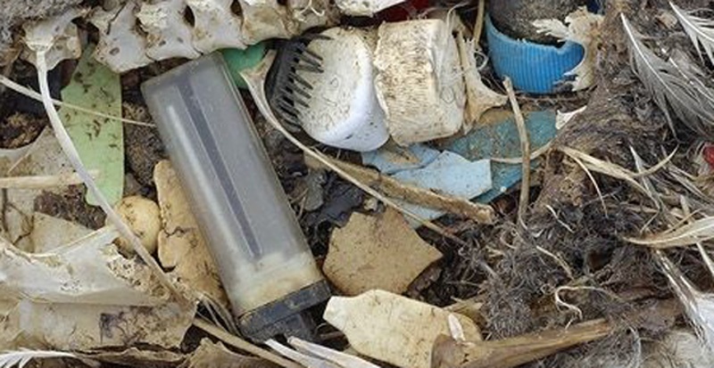Marea di plastica: la nostra spazzatura in mare - Focus.it