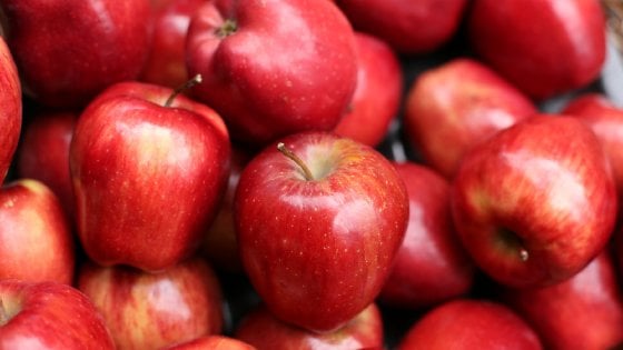 Cucine del Mondo: la mela in India va a lezione di salsa - Repubblica.it