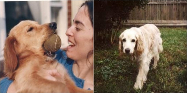Before-and-After Photos Show How Dogs Should Age | Blog | PETA Latino
