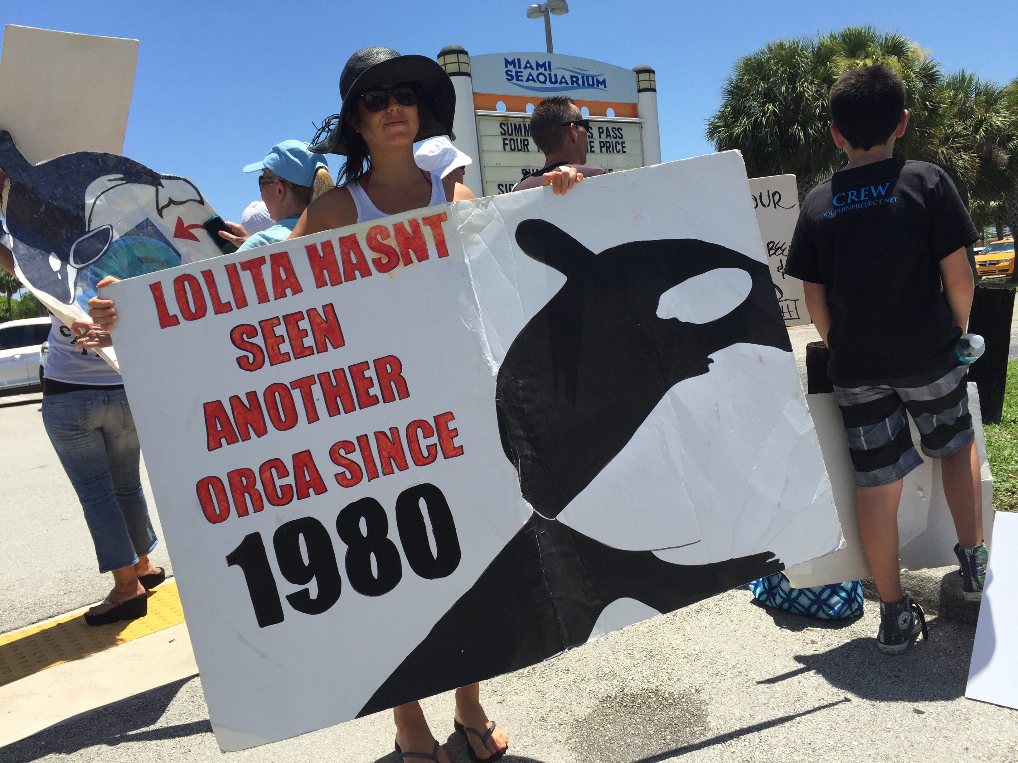 ‘¡Liberen a Lolita ahora!’ | Blog | PETA Latino