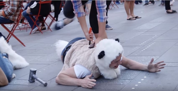 Video: Cómo sería si los humanos fueran esquilados como las ovejas | Blog | PETA Latino