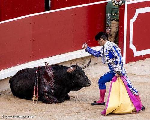 These Activists Jumped Into a Bullfighting Ring in France (Video) | Blog | PETA Latino